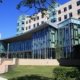 International Business Schools in California